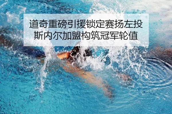 道奇重磅引援锁定赛扬左投 斯内尔加盟构筑冠军轮值